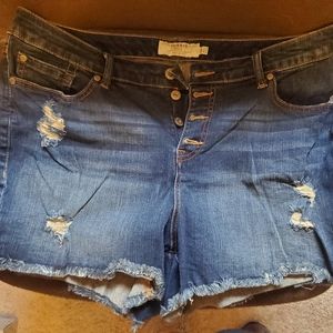 Torrid button fly shorts